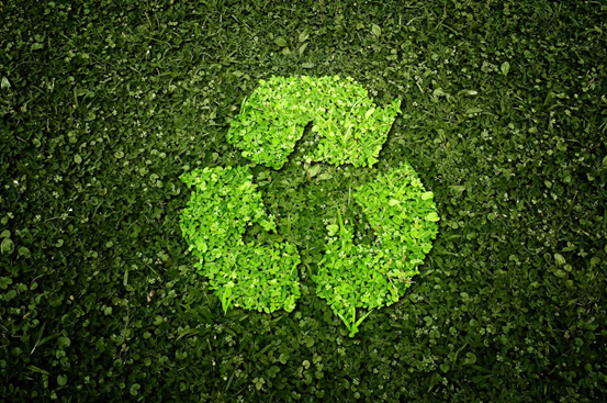 1645697113402679.jpg 333.jpg